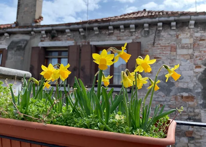 Rooftop Terrace Domus Dei Fabbri Venedig, Italien