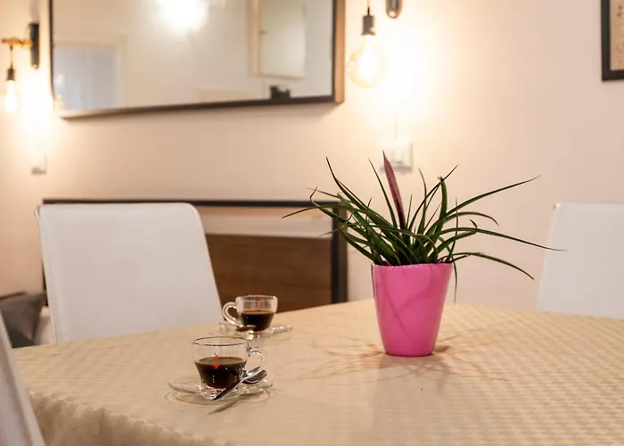Fenix Colombina In Biennale - Your Little House Venice, Italy